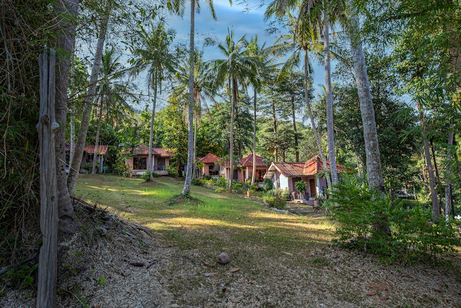 Our first cottage